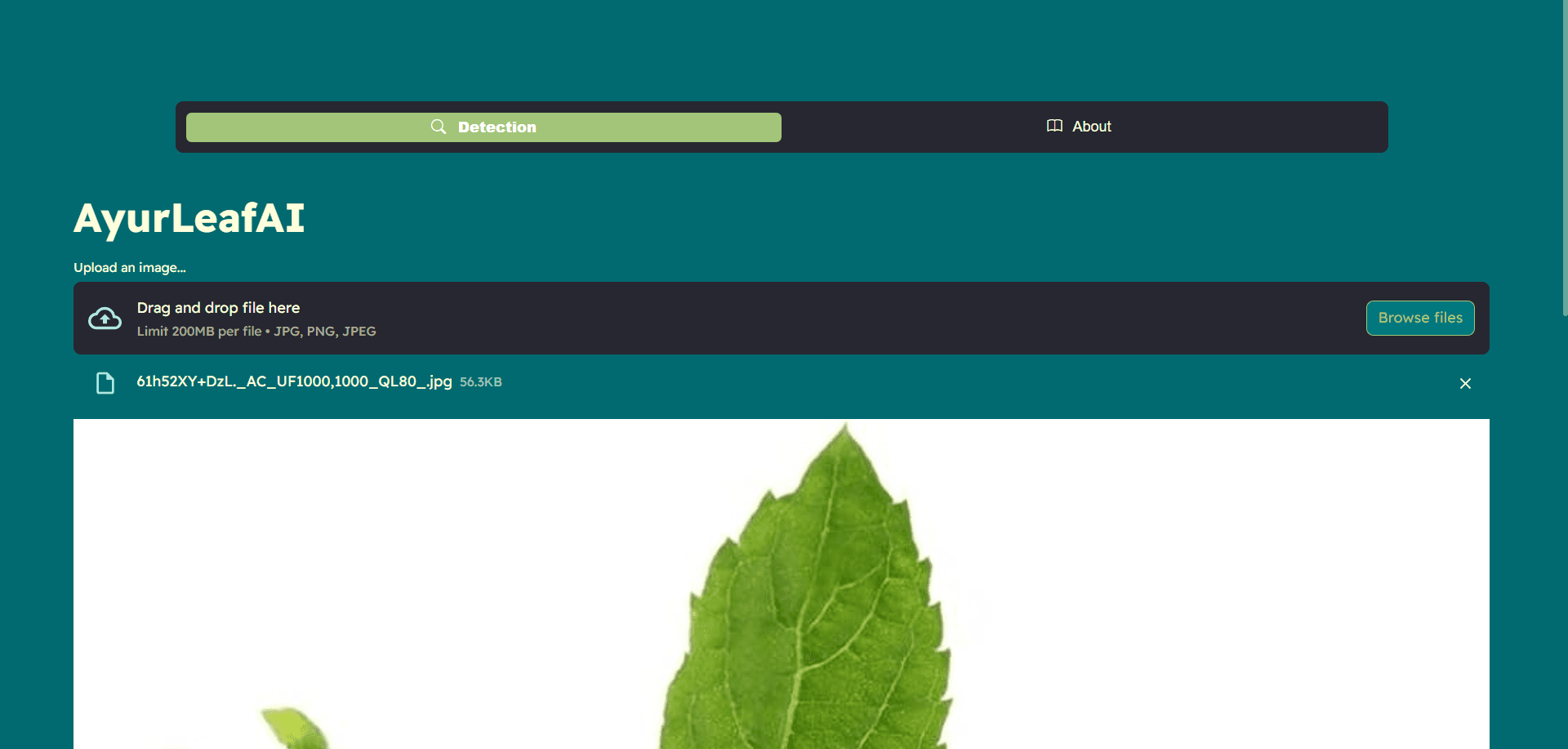 AyurLeaf AI screenshot 1
